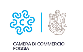 Camera commercio fg