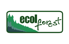 Ecol forest